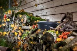 Tefal Trattoria Braadpan - Ø28 Cm - Inclusief Deksel -Pot Benodigdheden Winkel 1200x799 53