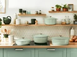 Tefal LOV Braadpan - 5L - Ø25 Cm - Groen 24 Tefal LOV Braadpan - 5L - Ø25 Cm - Groen -Pot Benodigdheden Winkel 1200x900 47