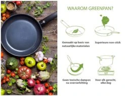 GreenPan Cambridge Vispan 32cm - Zwart - Inductie - PFAS-vrij -Pot Benodigdheden Winkel 1200x926 6