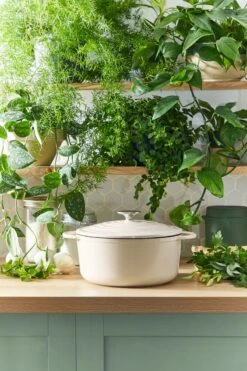 Tefal LOV Braadpan - 5L - Ø25 Cm - Beige 24 Tefal LOV Braadpan - 5L - Ø25 Cm - Beige -Pot Benodigdheden Winkel 800x1200 19