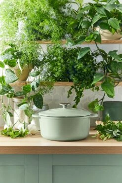 Tefal LOV Braadpan - 5L - Ø25 Cm - Groen 23 Tefal LOV Braadpan - 5L - Ø25 Cm - Groen -Pot Benodigdheden Winkel 800x1200 21