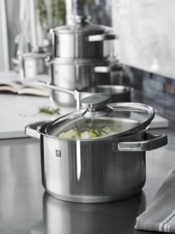 ZWILLING Joy Pannenset - 5-delig - RVS -Pot Benodigdheden Winkel 899x1200 2