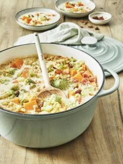 Tefal LOV Braadpan - 5L - Ø25 Cm - Groen 33 Tefal LOV Braadpan - 5L - Ø25 Cm - Groen -Pot Benodigdheden Winkel 900x1200 15